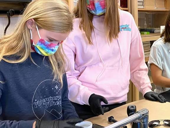 Featured STEM photo 2