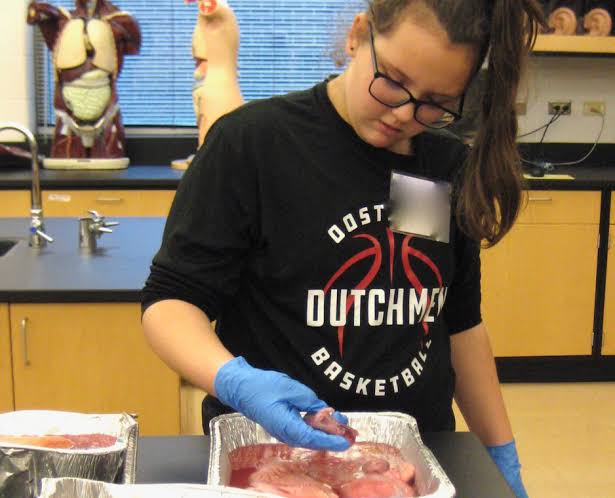 Featured STEM photo 3
